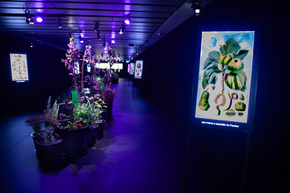 Corredor da exposição com plantas em vasos e uma imagem botânica iluminada na parede.
