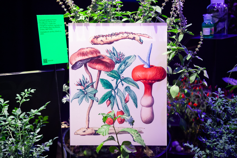 Painel ilustrado com cogumelos e plantas, instalado entre vasos e folhagens.