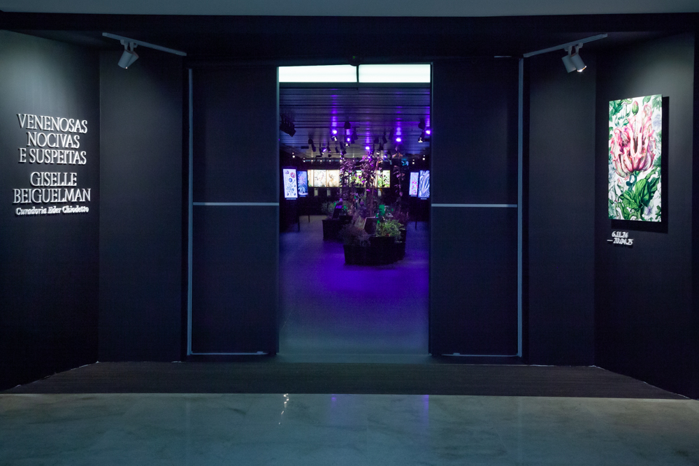 Entrada da exposição Venenosas, Nocivas e Suspeitas, com iluminação roxa e obras visíveis ao fundo.