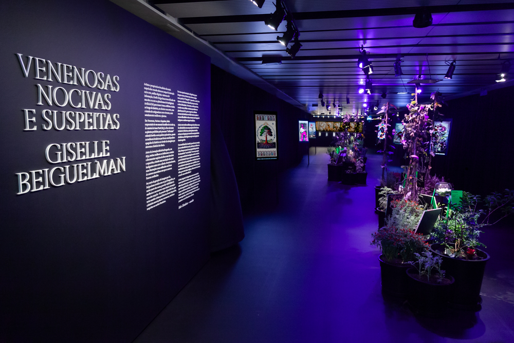 Vista da exposição, com o título da mostra e o nome de Giselle Beiguelman na parede, plantas em vasos e obras iluminadas.
